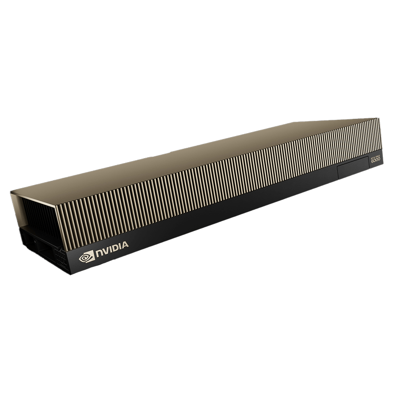 NVIDIA RTX PRO 6000 Blackwell Server Edition.